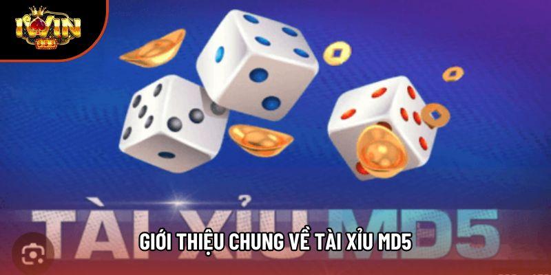 Giới thiệu chung về tài xỉu md5 Giới thiệu chung về tài xỉu md5